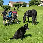 Agri Camp Dolomiti *