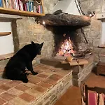 Agri Camp Dolomiti Apartment