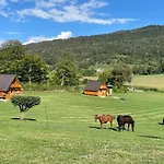 Agri Camp Dolomiti شقة