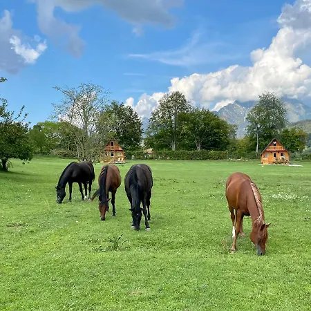Agri Camp Dolomiti