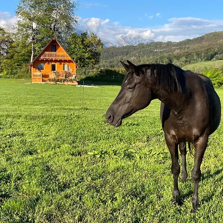 아파트 Agri Camp Dolomiti *