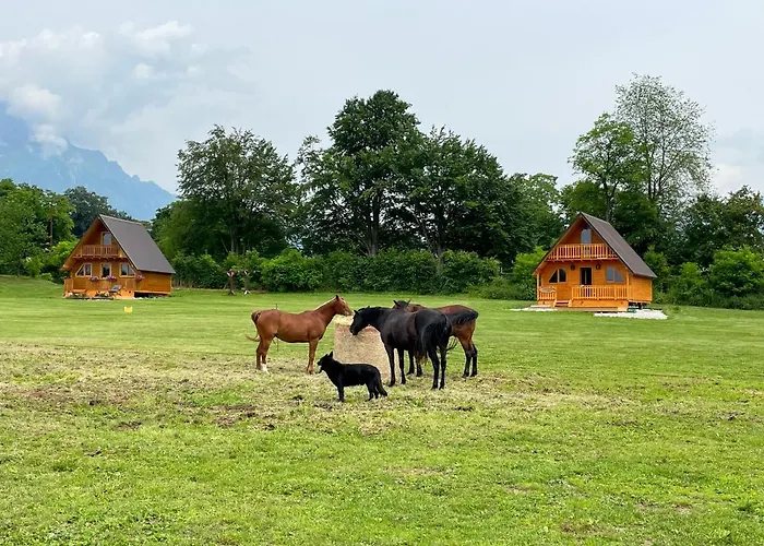 아파트 Agri Camp Dolomiti 벨루노