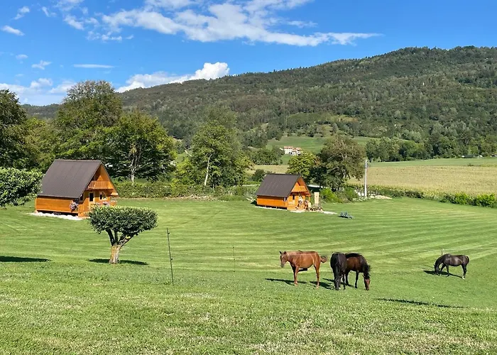Agri Camp Dolomiti 아파트