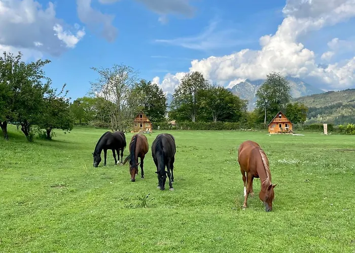 Agri Camp Dolomiti