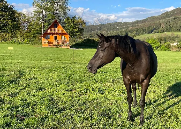 Apartman Agri Camp Dolomiti *