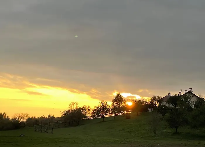 Agri Camp Dolomiti 아파트
