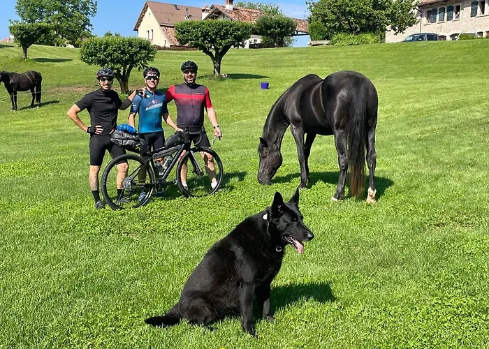Agri Camp Dolomiti *